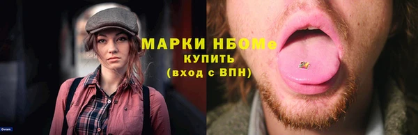 индика Вяземский